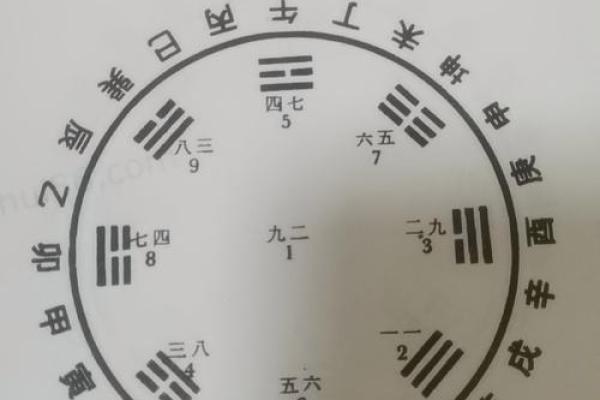 小富八字