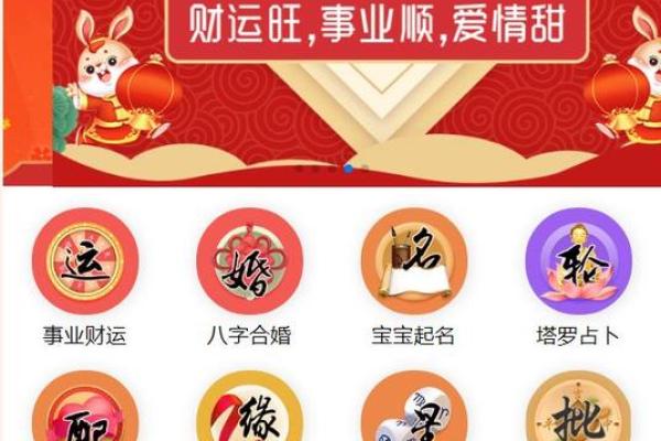 八字付费