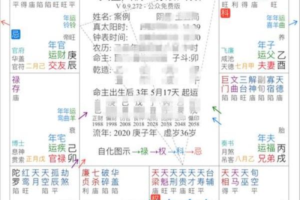 紫微排盘,科星逢破格命格详解