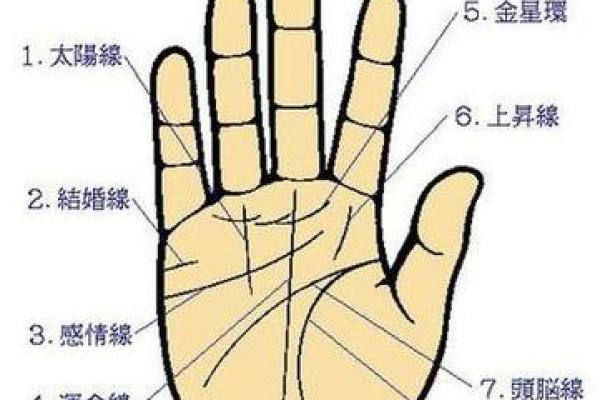 在线扫一扫测手相算命,扫一扫测手相算命免费