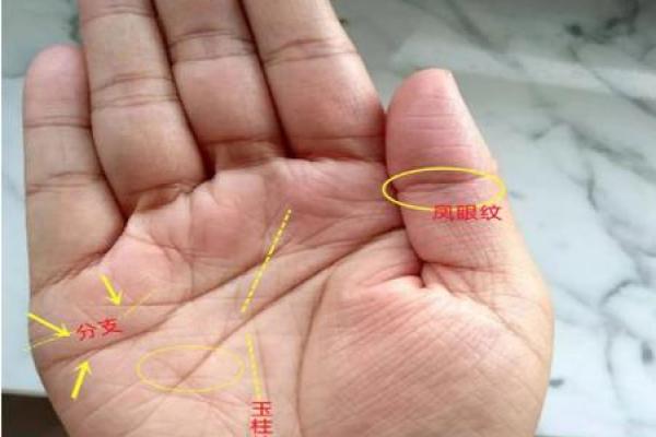 女生算命看左手吗