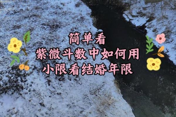紫薇斗数中小限