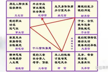 皇家紫薇斗数是什么