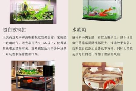 养鱼的喜忌：家庭养鱼风水讲究