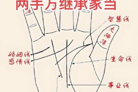 手相算命破解