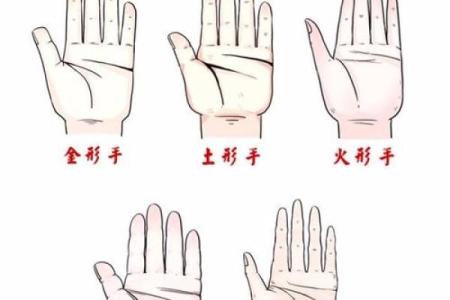 手型算命：木型人的性格与命运