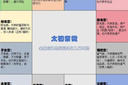 紫薇斗数小程序