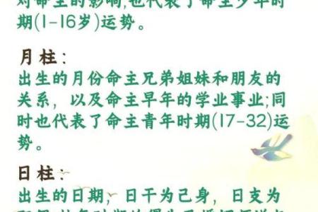 八字在时柱