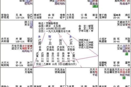 紫薇斗数先天命盘和大运命盘什么意思