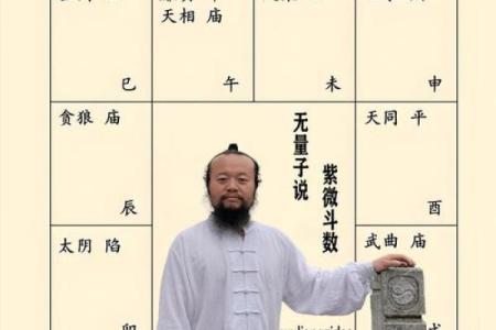 紫微斗数紫薇在兄弟宫怎么解读