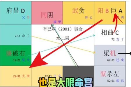 紫薇斗数排版
