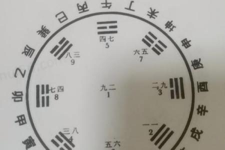 小富八字
