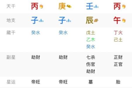 看生辰八字看什么