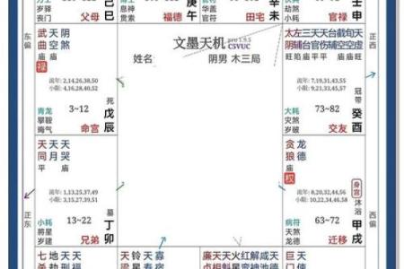 紫微斗数看学历哪个宫,不同星宿在官禄宫影响