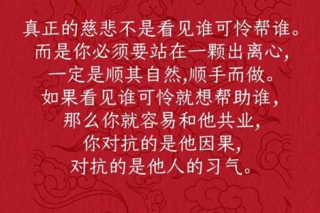 八字命理：你缺的不是基础，而是一篇文章