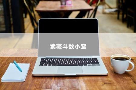 紫薇斗数小鸾