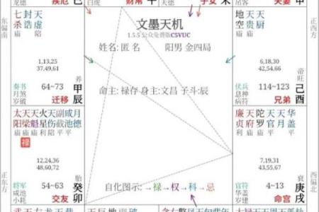 年紫薇星盘查询