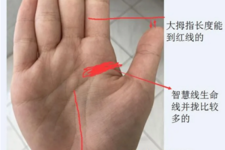 女生算命看左手吗