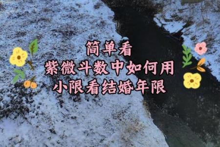 紫薇斗数中小限