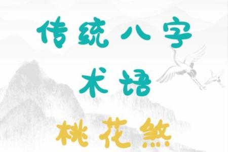 犯桃花的八字