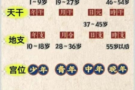 「八字年柱有根」为你解读，合辟新坑或自我提升？
