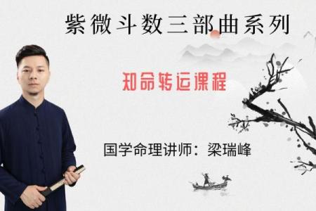 紫微斗数讲座 中州派紫微斗数初级讲义？