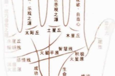 怎样看手纹给自己算命女 手相看你的性格特征