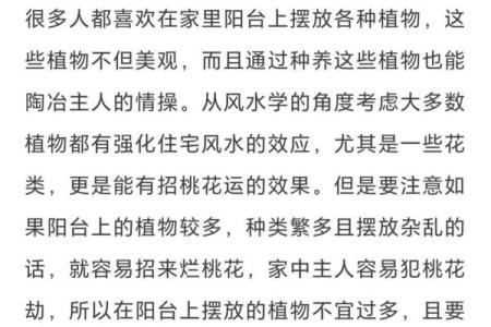 家庭的风水_妻子就是家中的风水