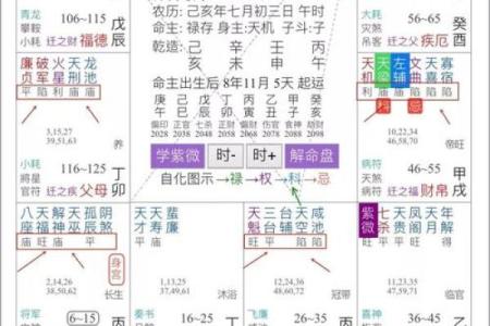 解说紫微斗数 深入解读紫微斗数？