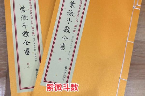 紫薇斗数哪些古籍 紫薇斗数哪些古籍