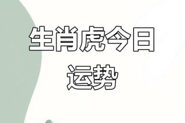 生肖虎-算命的说, 你天生就是富 贵命, 命里带财, 儿女成才, 平安顺遂! 生肖虎-算命的说, 你天生就是富 贵命, 命里带财, 儿女成才, 平安顺遂!