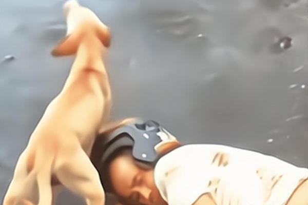 开车摔跤了还能去算命吗 开车摔跤了还能去算命吗