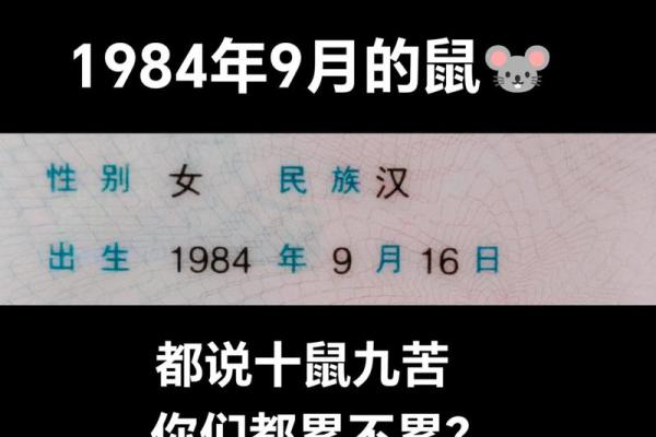 婚姻算命:84年鼠40岁的感情运势如何 婚姻算命:84年鼠40岁的感情运势如何