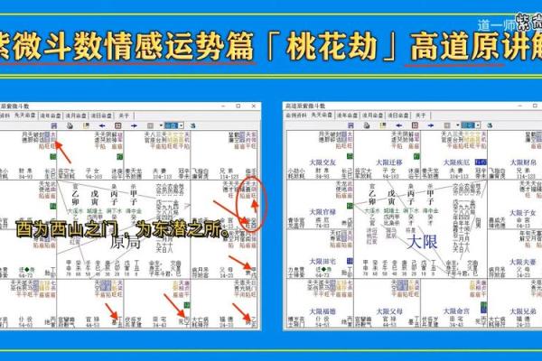 紫微斗数戊子桃花位 戊子日柱女命桃花？