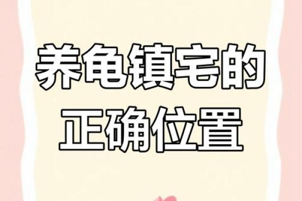 房子风水中乌龟串堂 房子风水中乌龟串堂