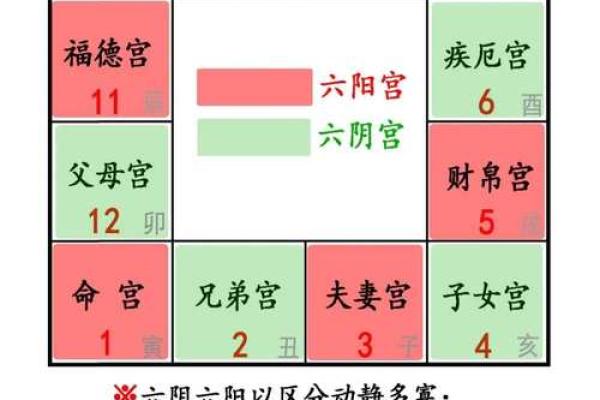 紫薇斗数宫位阴阳 紫薇斗数宫位阴阳