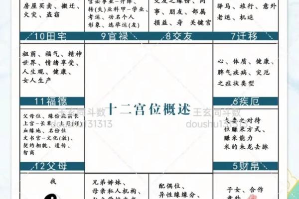 紫薇斗数宫位阴阳 紫薇斗数宫位阴阳