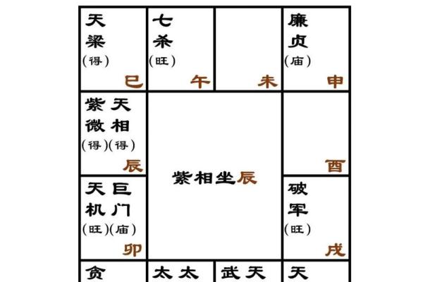 紫薇斗数看每日流盘 紫薇斗数看每日流盘