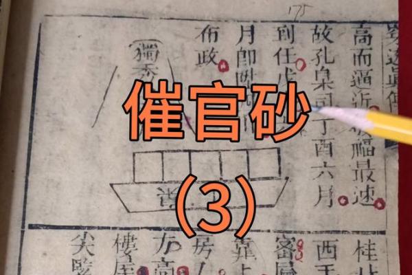 天星风水张子成风水