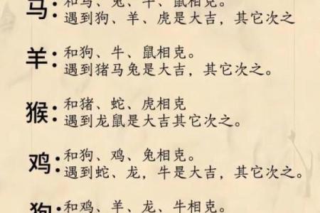 婚姻算命,1972年的男鼠配什么生肖蕞好