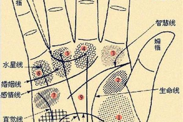风水手相事业线止于感情线女人会有什么影响 风水手相事业线止于感情线女人会有什么影响