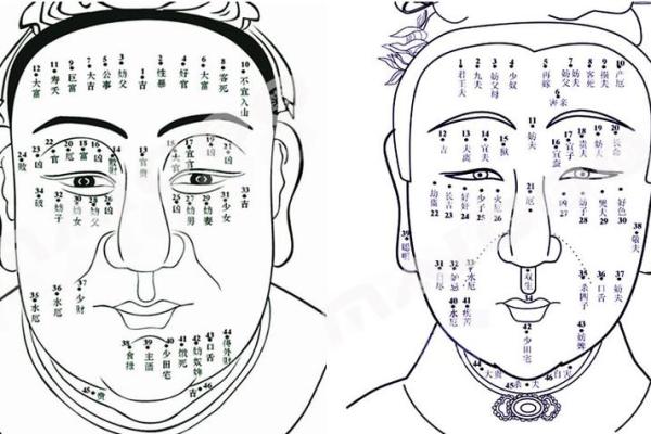 面相黑痣算命图解 面相黑痣算命图解