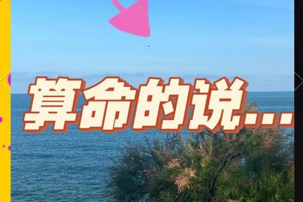 你觉得算命真的神奇吗视频 你觉得算命真的神奇吗视频