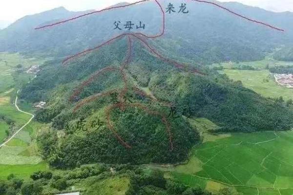 坟墓风水,把握这些后代定富贵 坟墓风水,把握这些后代定富贵