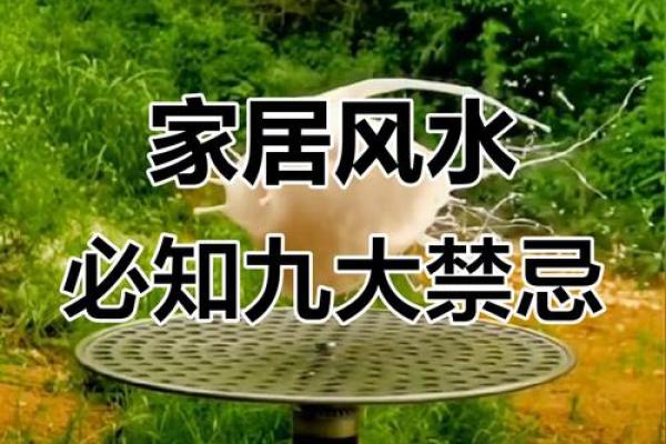 风水八大禁忌，保护好风水之眼