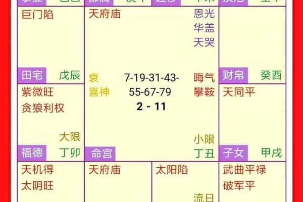排紫薇斗数流年