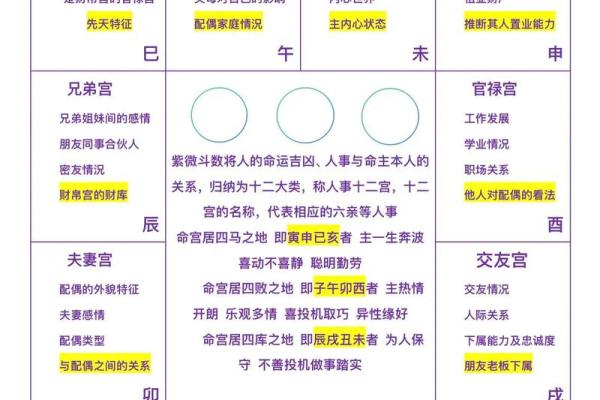 紫薇斗数怎么看桃花是不是正缘