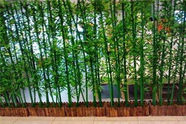 家庭风水家里种黄金竹好吗招财聚宝 家庭风水家里种黄金竹好吗招财聚宝