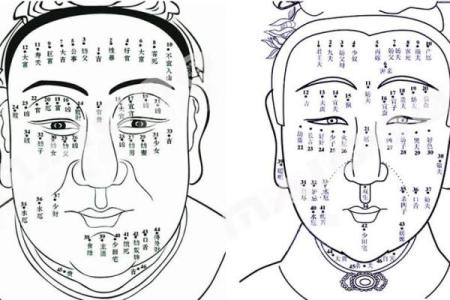 面相黑痣算命图解