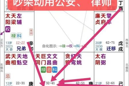 紫薇斗数巨门天喜在子女宫